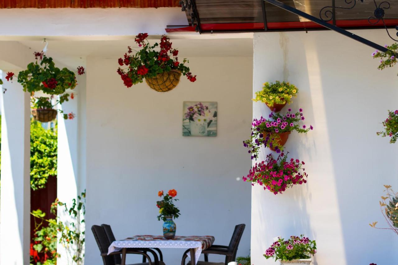 Casa De Vacanta Marya بايا دي فيير المظهر الخارجي الصورة