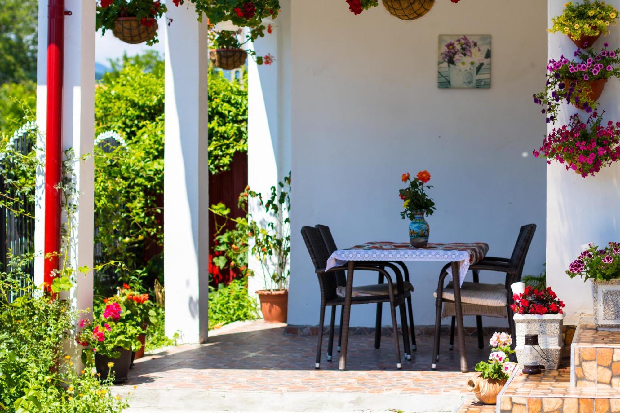 Casa De Vacanta Marya بايا دي فيير المظهر الخارجي الصورة